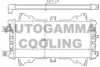 FORD 6138597 Radiator, engine cooling